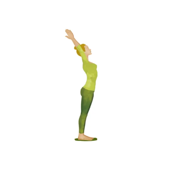YOGI TEA ორგანული ჩაი, დილის ენერგია 17ც/პაკეტში - Image 3